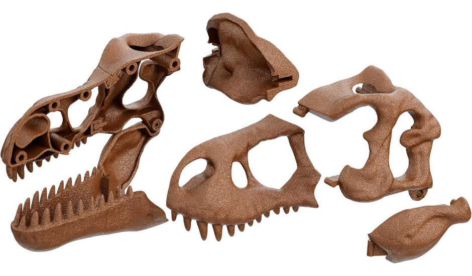 Clementoni T-rex Skull, Kit Creativo Y Científico