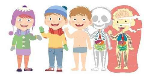 Rompecabezas Clementoni Cuerpo Humano