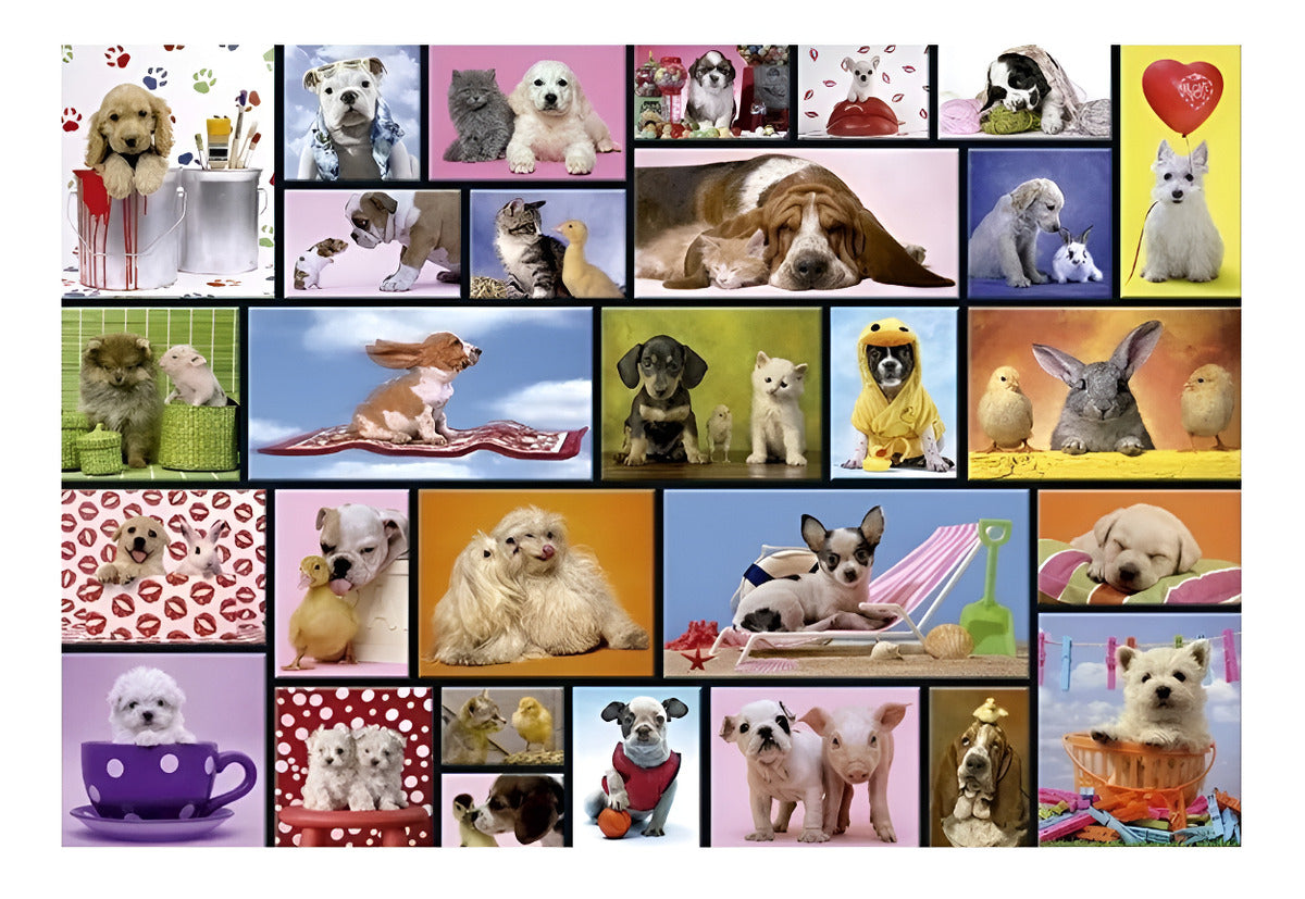 Rompecabezas Educa Animales 1000 Piezas Modelo 15518 Cartón