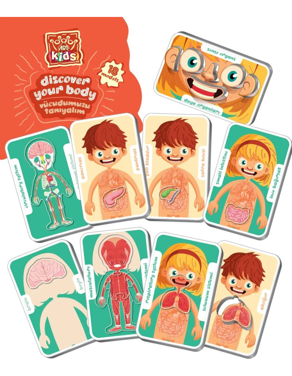 Art Kids Juego Educativo Preescolar Descubre Tu Cuerpo  5830