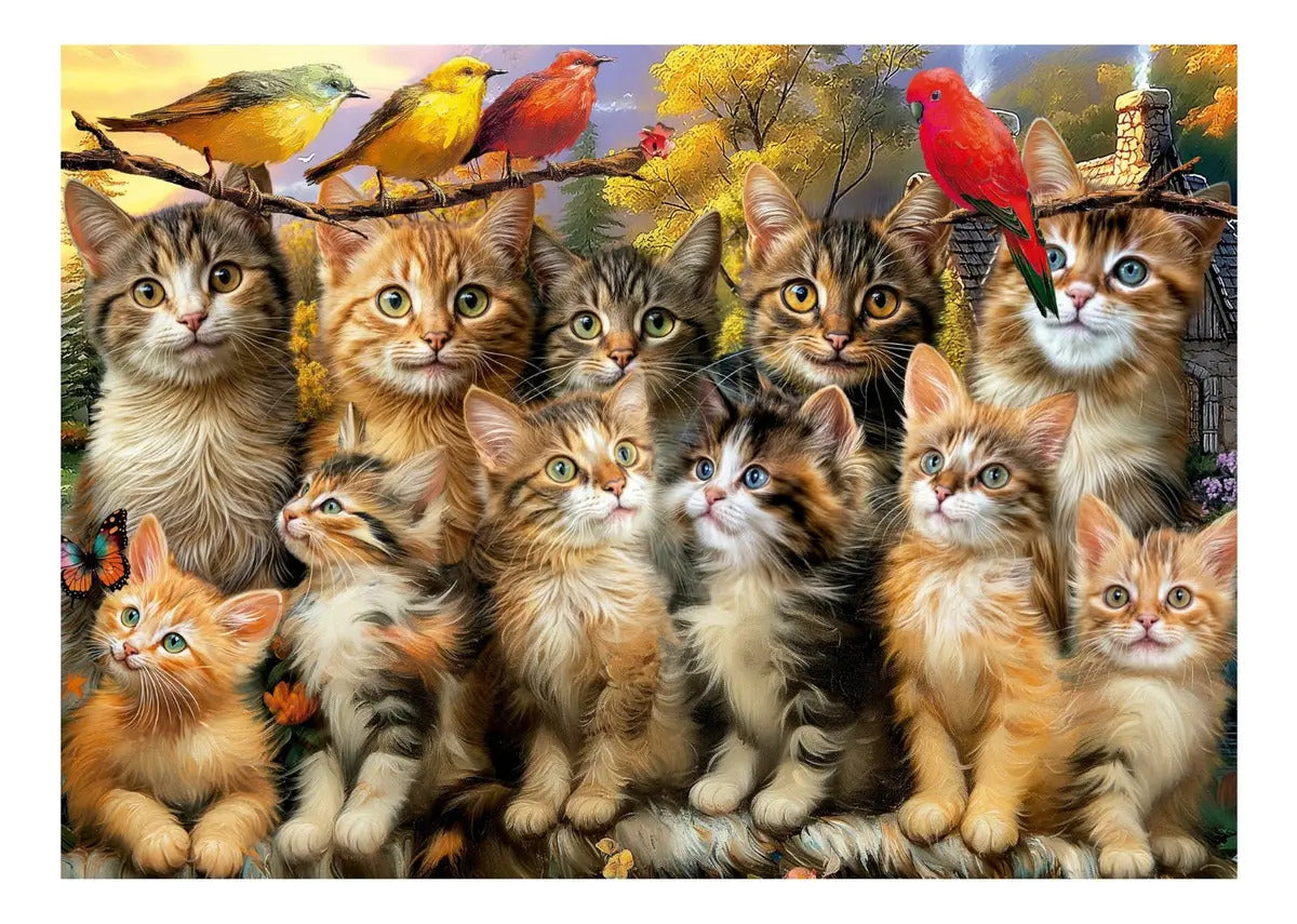 Rompecabezas 500 Piezas Gatitos Y Pájaros Educa