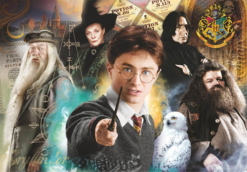 Rompecabeza Harry Potter Profesores Hogwarts 1000 Clementoni