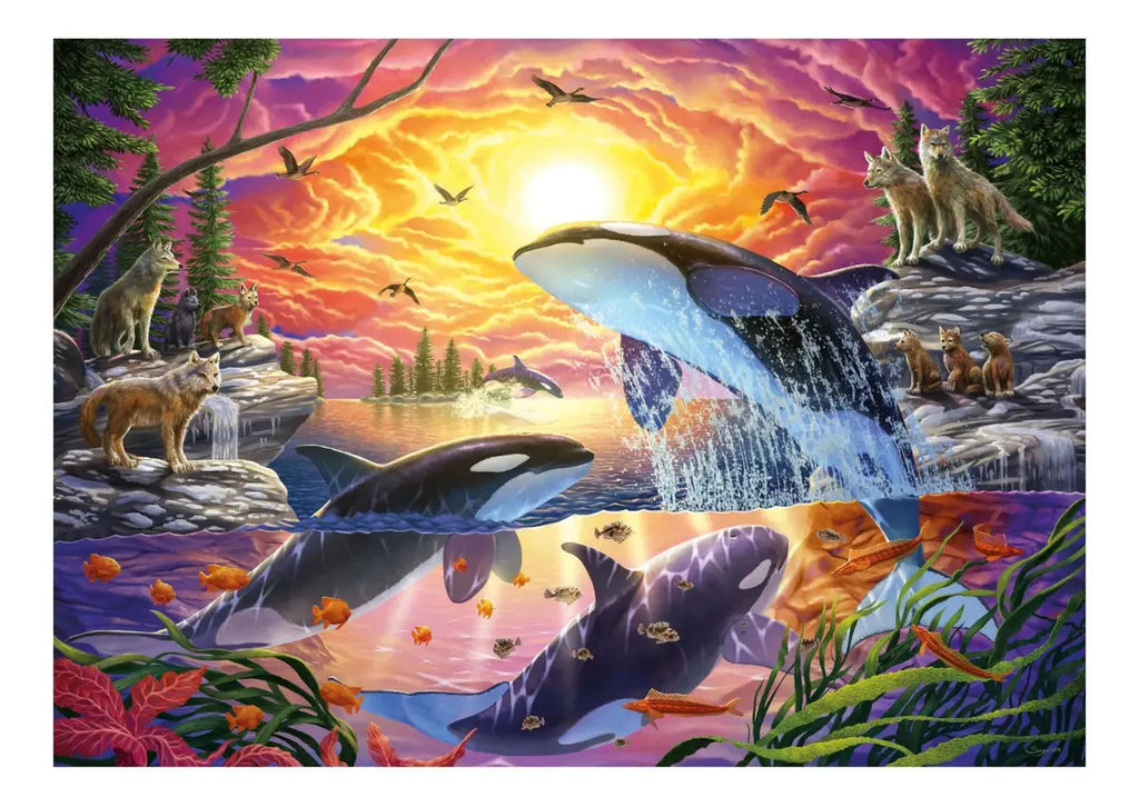 Rompecabezas 4000 Piezas Orcas Y Lobos Educa Puzzle