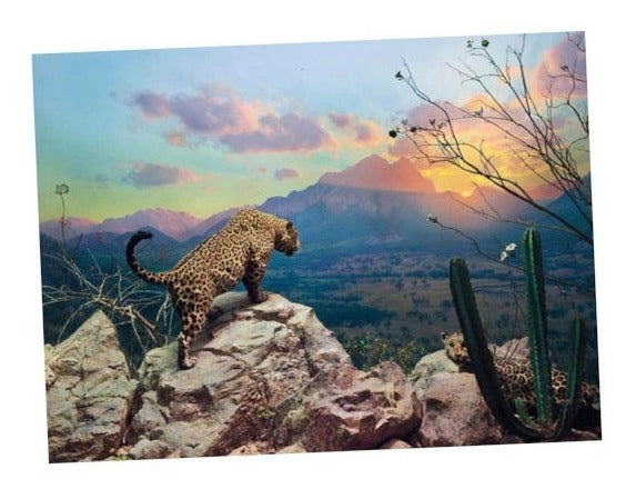 Jaguar Diorama Rompecabezas Pomegranate 1000 Pzas