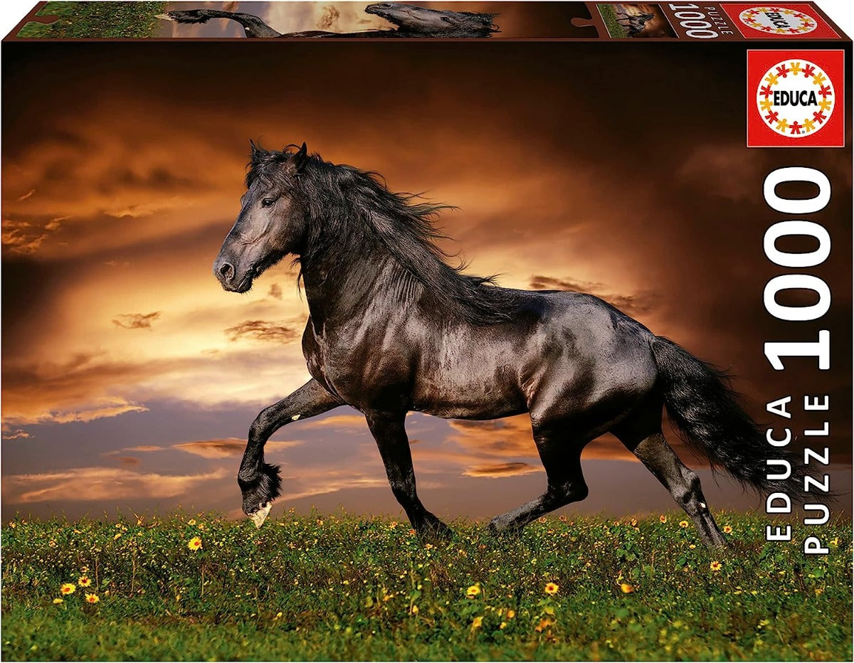 Caballo Negro Al Trote Rompecabezas 1000 Piezas Educa