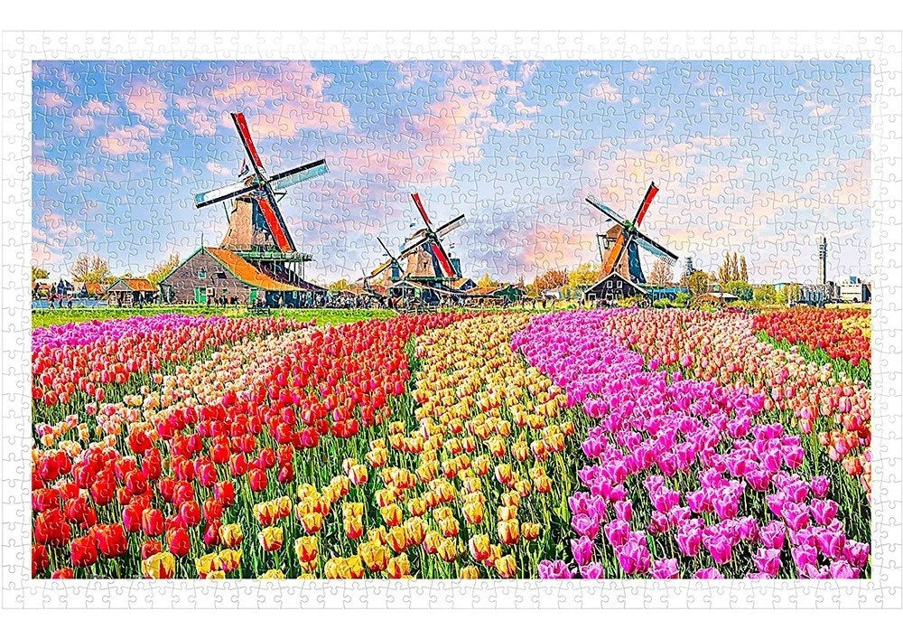Tulipanes Y Molinos Holanda Rompecabezas 1000 Piezas Pintoo