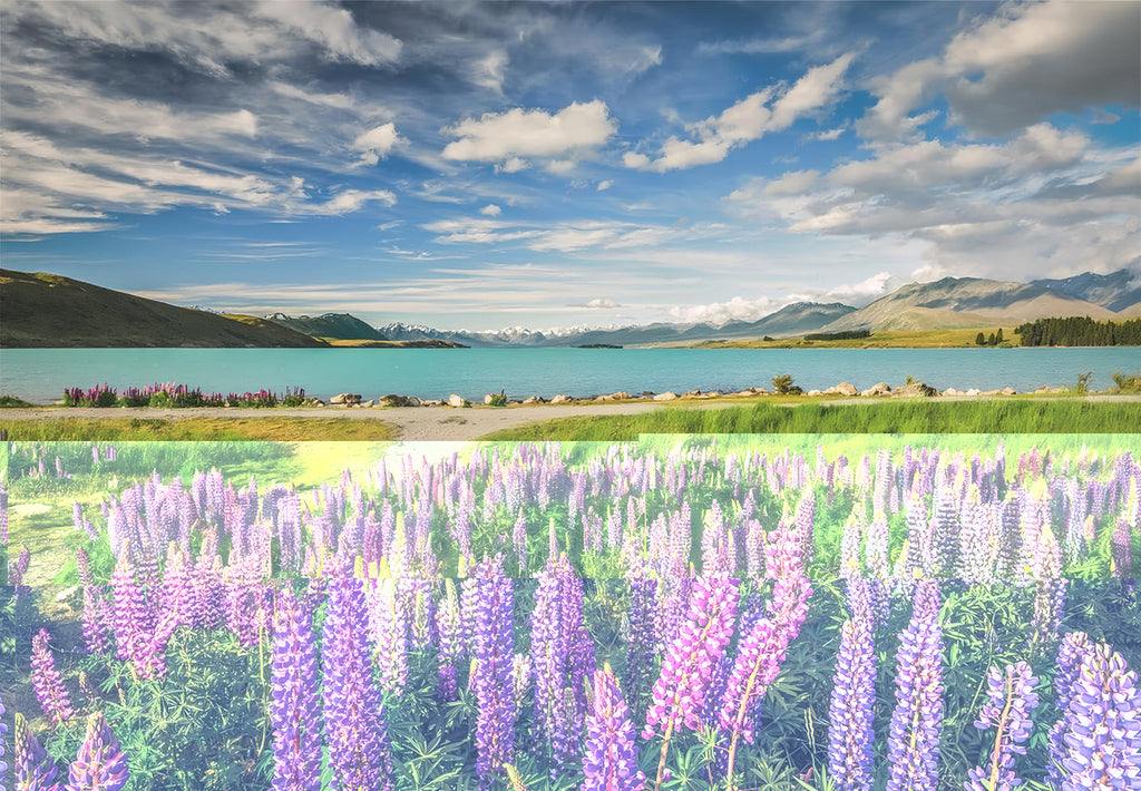 Rompecabezas 1500 Piezas Lago Tekapo Clementoni Para Adultos