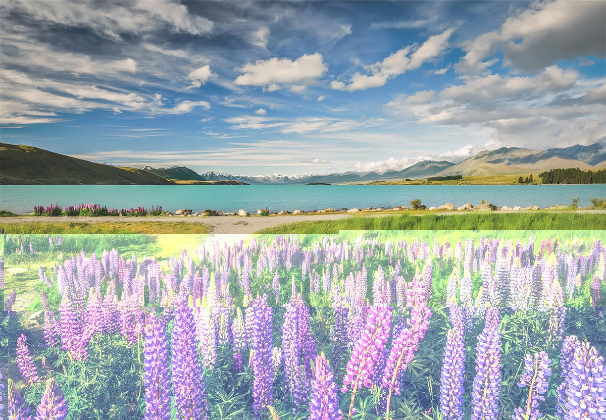 Rompecabezas 1500 Piezas Lago Tekapo Clementoni Para Adultos