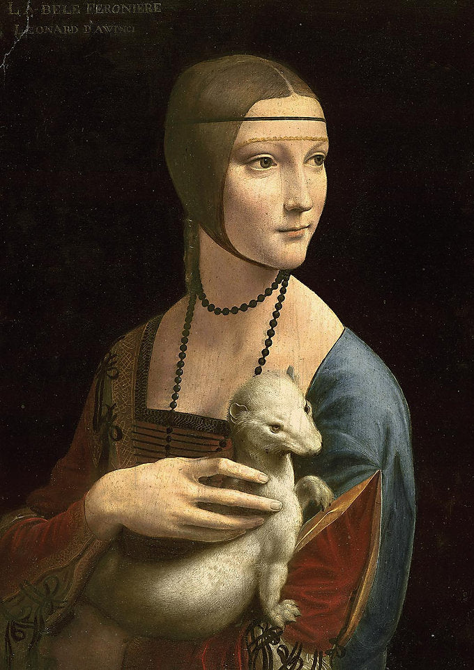The Lady With The Emine Mini Rompecabezas 1000 Pzas Tomax