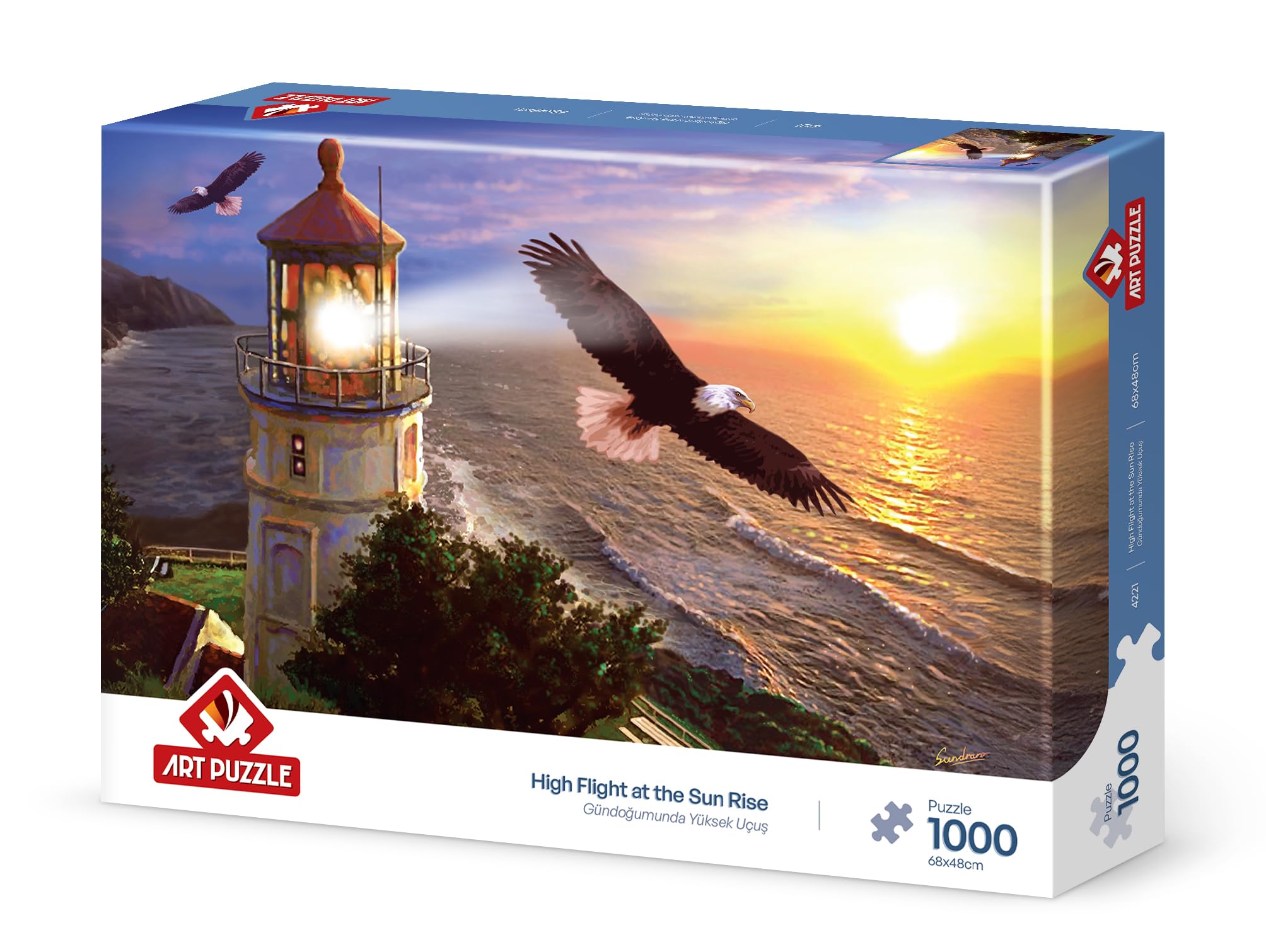 Rompecabezas paisaje alto vuelo al amanecer Art Puzzle 1000 piezas