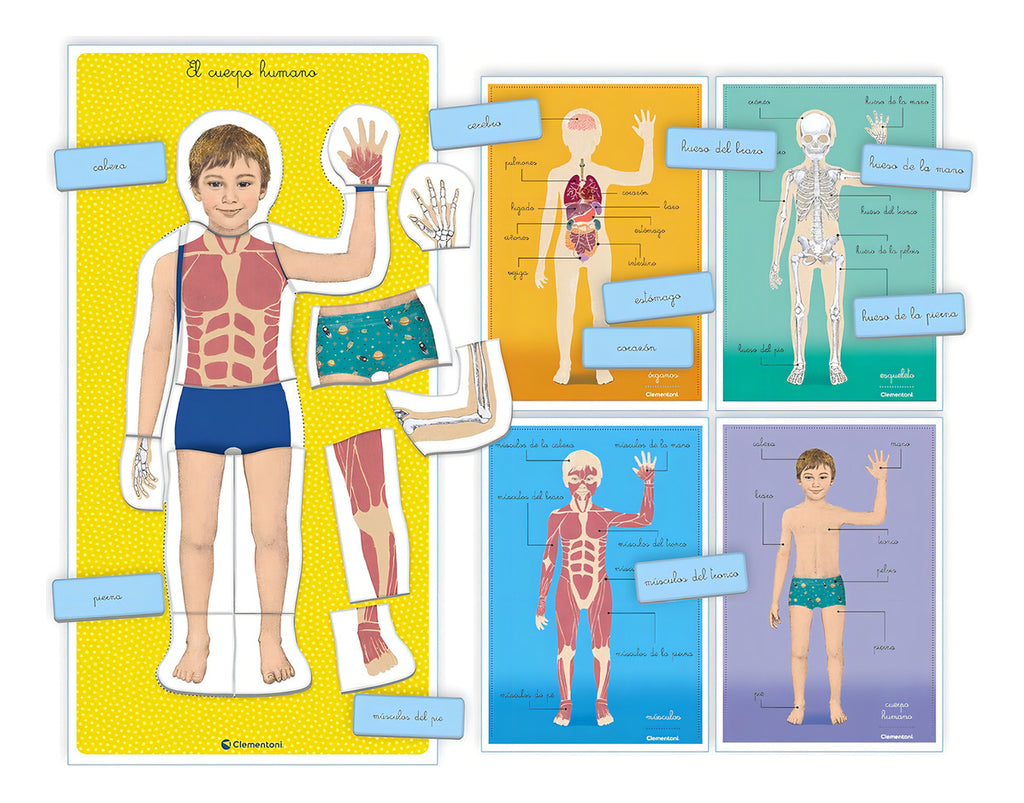El Cuerpo Humano Montessori Clementoni 55476 Juego Educativo