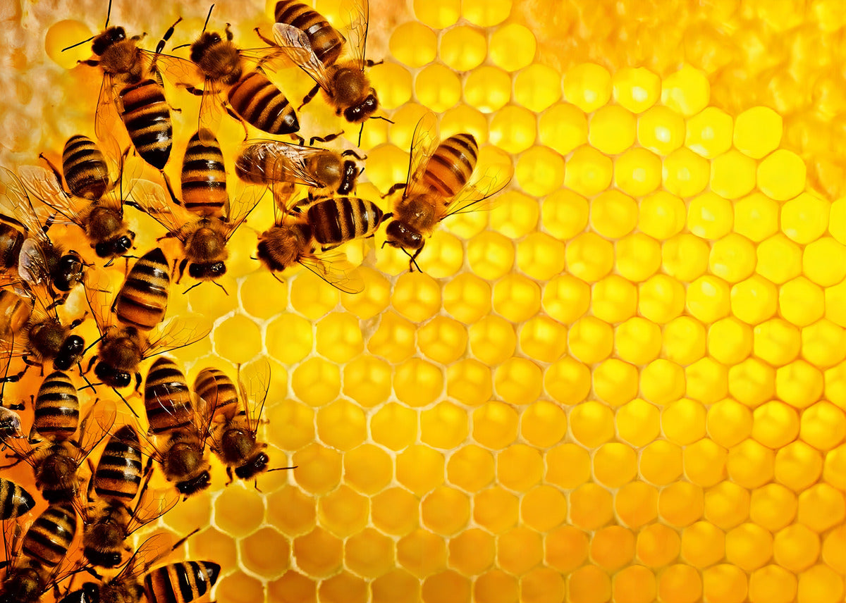 Rompecabezas Challenge Abejas 1000 Piezas Ravensburger