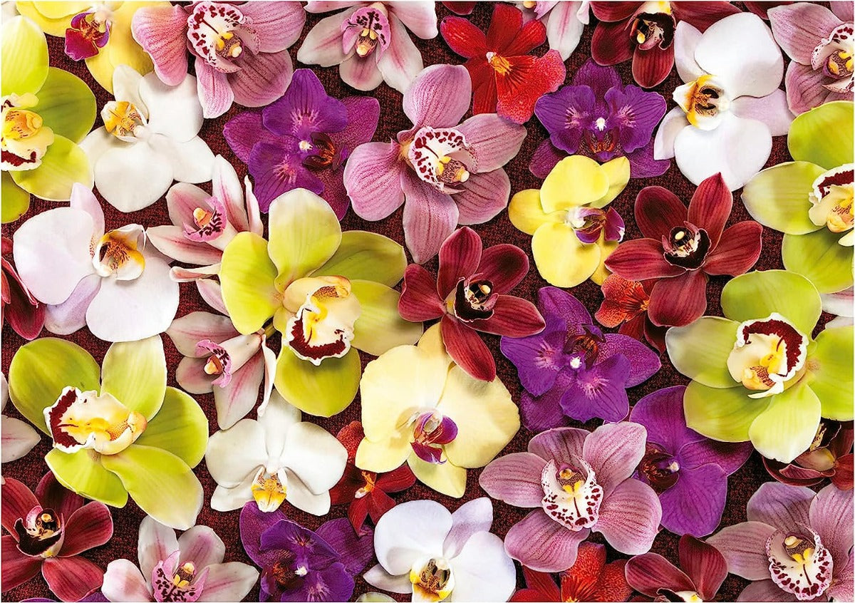 Collage De Orquídeas Rompecabezas 1000 Piezas Educa