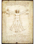 Hombre Vitruvio Da Vinci Mini Rompecabezas 1000 Piezas Tomax