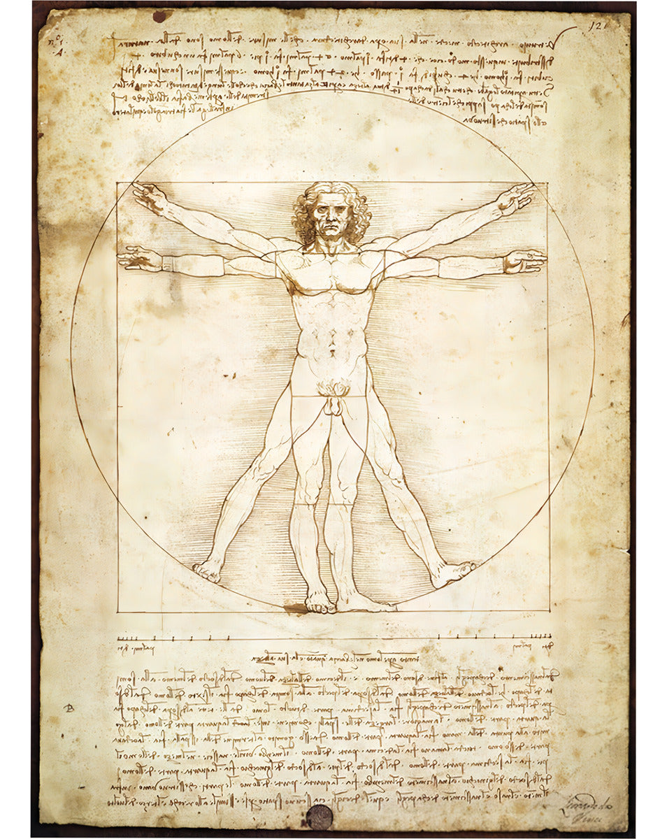 Hombre Vitruvio Da Vinci Mini Rompecabezas 1000 Piezas Tomax
