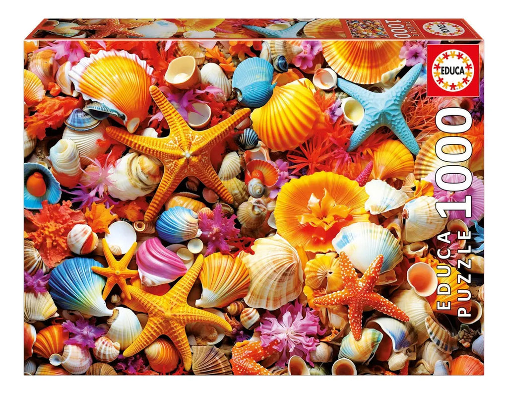 Rompecabezas 1000 Piezas Collage De Conchas Educa