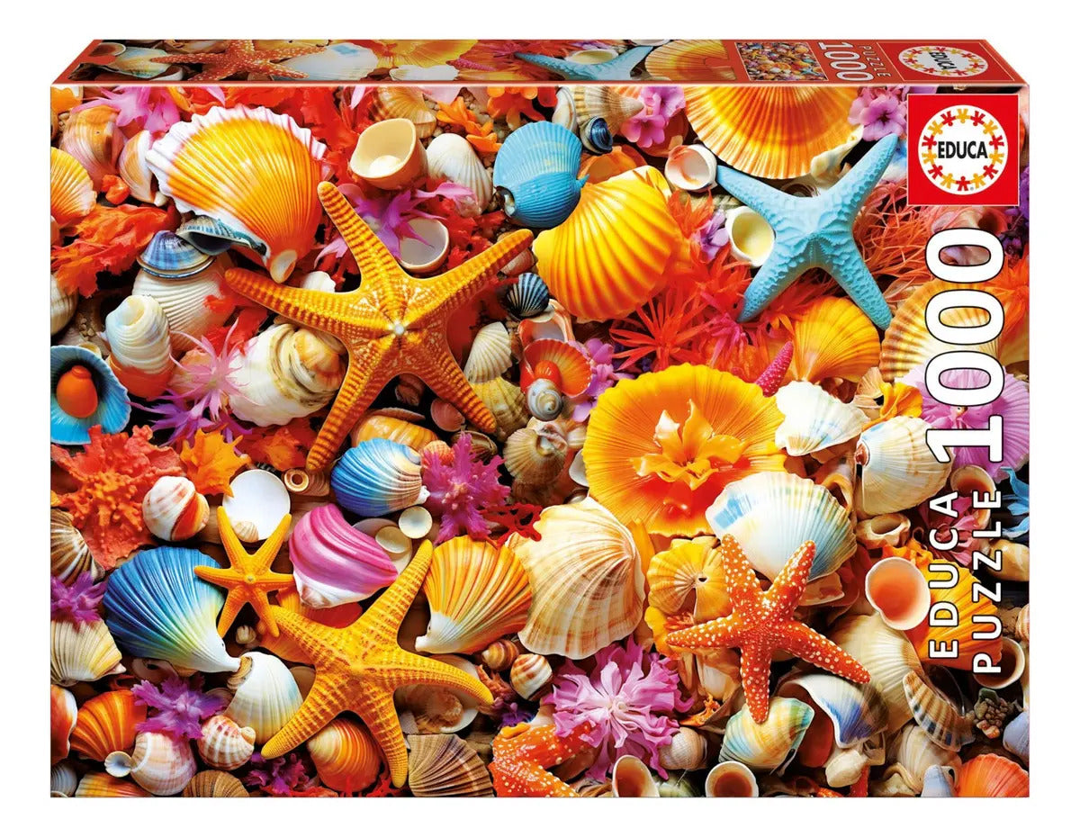 Rompecabezas 1000 Piezas Collage De Conchas Educa