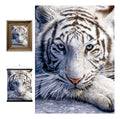 Deluxebase Póster 3d Livelife White Tiger Repose