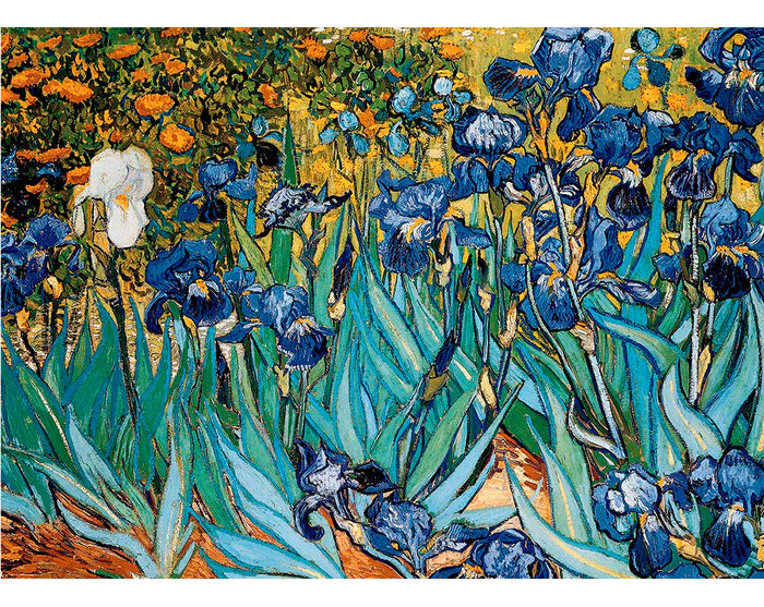 Rompecabezas Fine Art Collection Flores De Iris Vincent Van Gogh 1000 Piezas Eurographics
