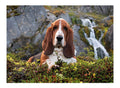 Puzzle Rompecabezas X 1000 Piezas Cahrlie Brown Clementoni