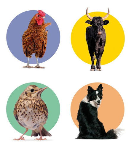 Juego De Memoria ¡ Animales ! Edicion De Viaje Clementoni