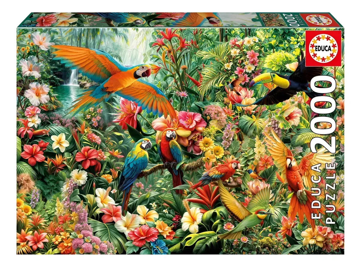 Rompecabezas Puzzle Aves Del Amazonas 2000 Pcs Educa