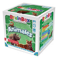 Brainbox Animales Asmodee Memoria