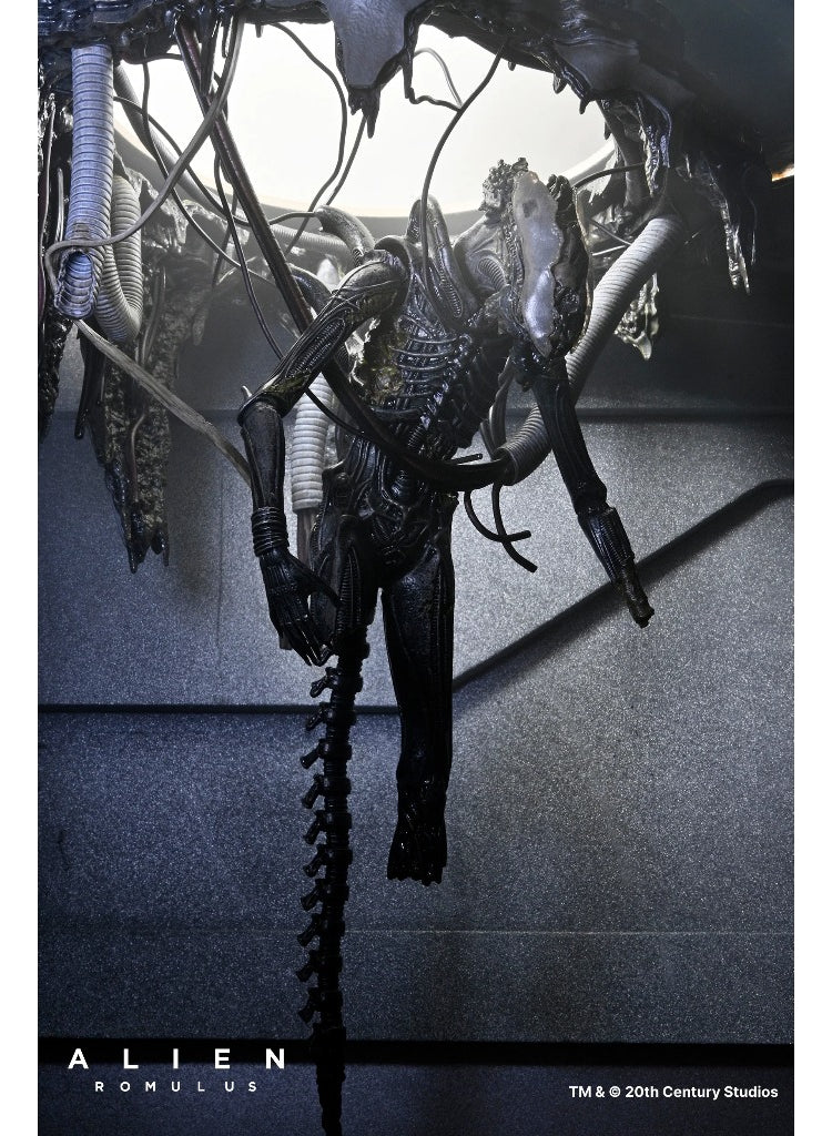 Figura De Lujo Alien: Romulus Suspendida Xenomorph Xx121