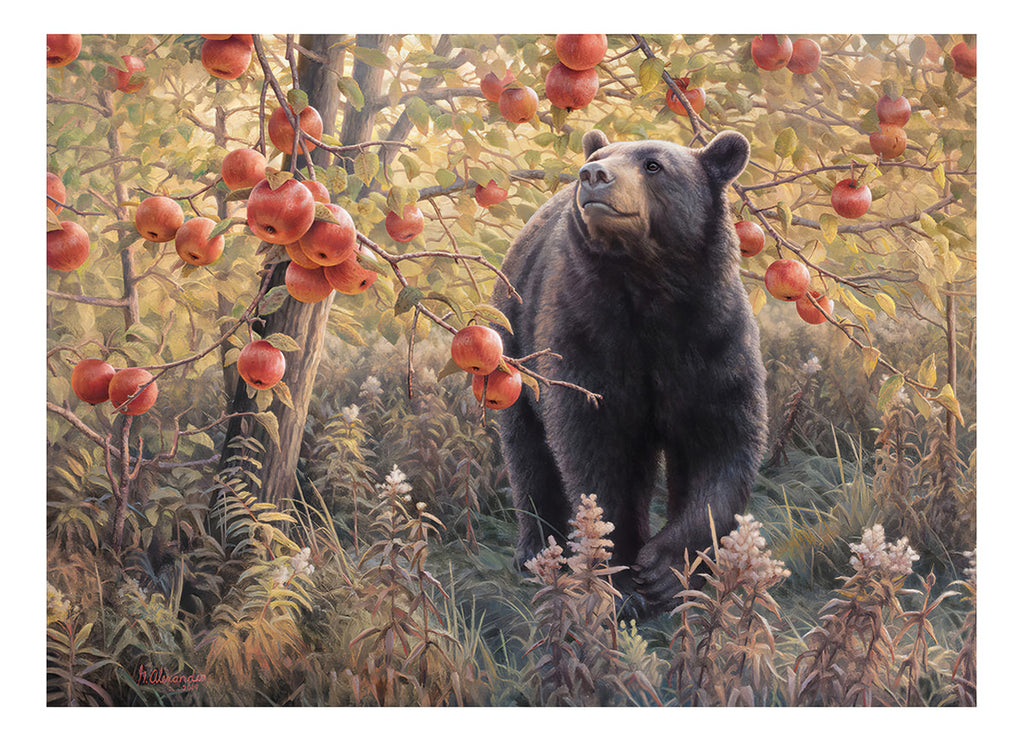 Rompecabezas Cobble Hill El Oso Y Las Manzanas Rojas 500 Piezas Animal