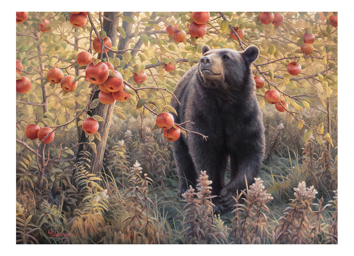 Rompecabezas Cobble Hill El Oso Y Las Manzanas Rojas 500 Piezas Animal