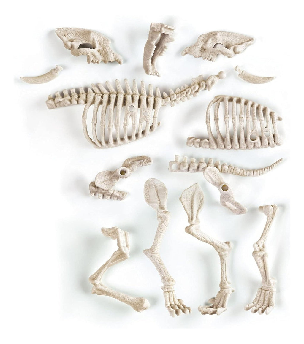 Juego De Excavación Smilodon Fluorescente Clementoni 55034