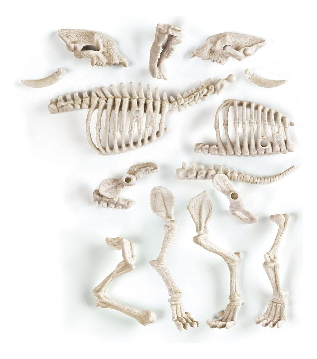 Juego De Excavación Smilodon Fluorescente Clementoni 55034