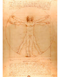 Enjoy Romparte 1000 Pz El Hombre De Virtruvio De L. Da Vinci