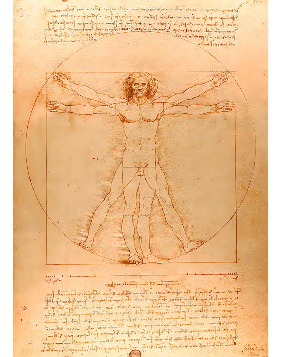 Enjoy Romparte 1000 Pz El Hombre De Virtruvio De L. Da Vinci