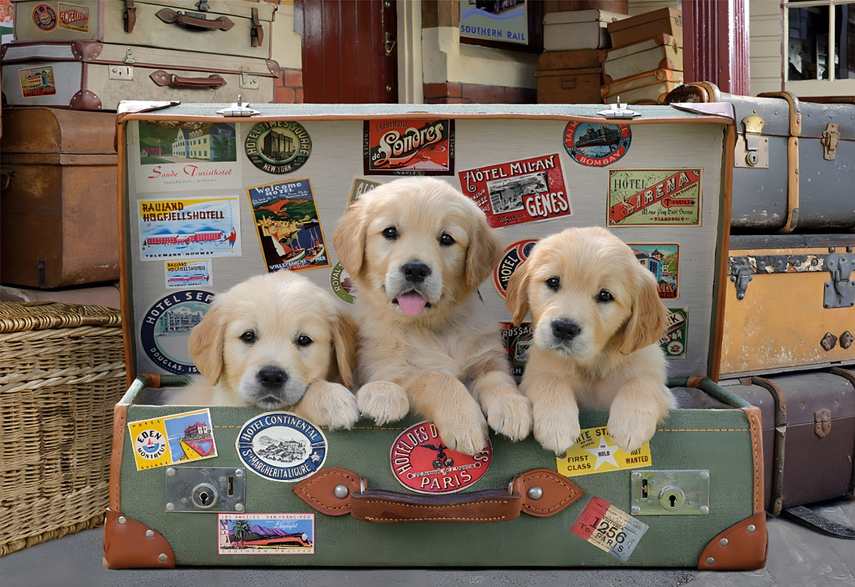 Rompecabezas Educa 500 Piezas Cachorros Equipaje Animales Cartón