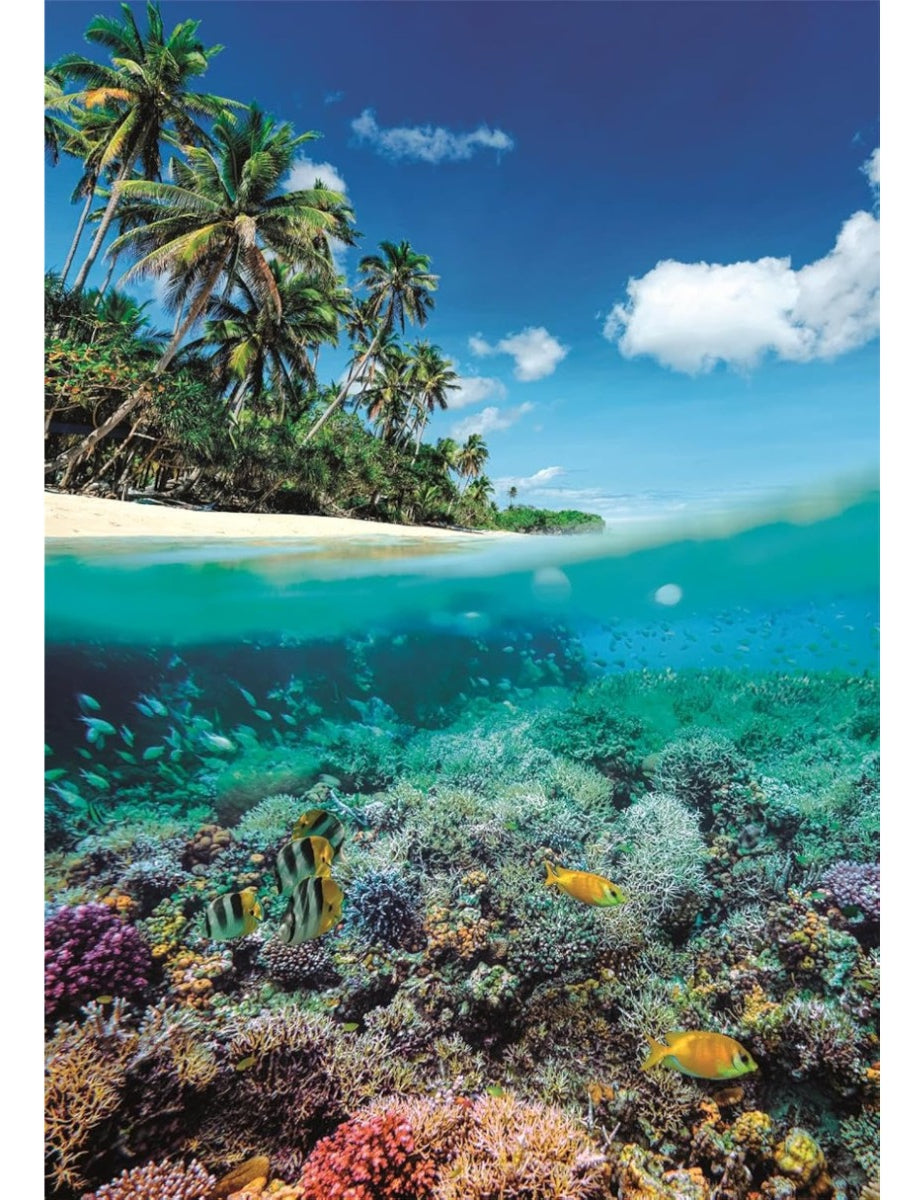 Rompecabezas Paraíso De Verano Compact Clementoni 1000 Pzs