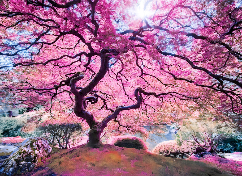Rompecabezas De 1000 Piezas: Árbol Rosa Anatolian
