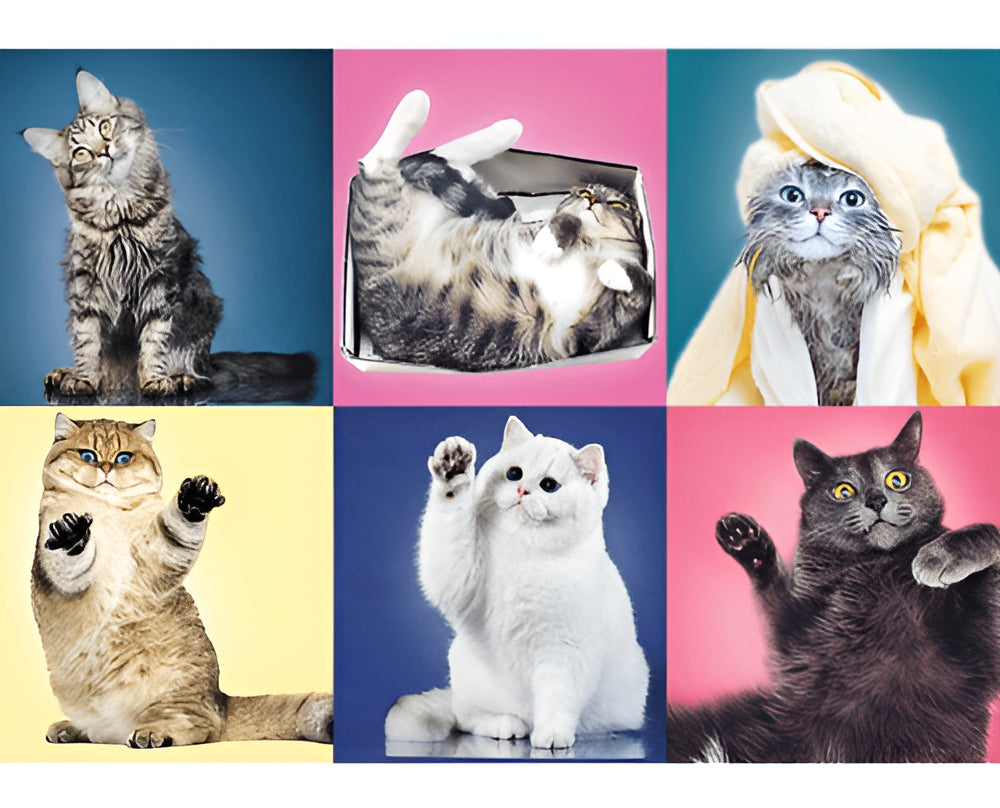 Rompecabezas Puzzle De 500 Piezas Trefl Gatitos 37377