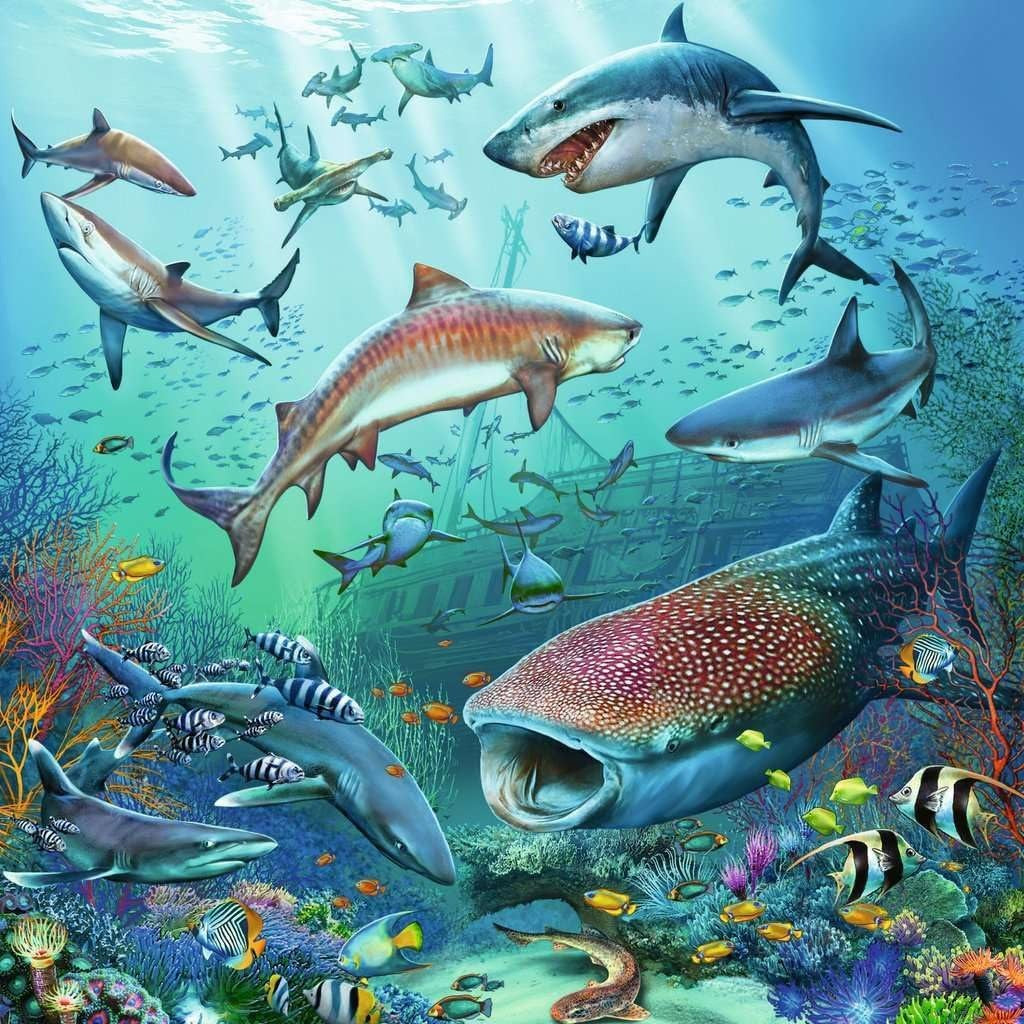 5149 Debajo Del Agua Rompecabezas Ravensburger 3x49 Piezas