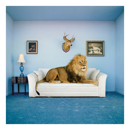 Puzzle Clementoni 250 Piezas Frame Me Up El Rey León