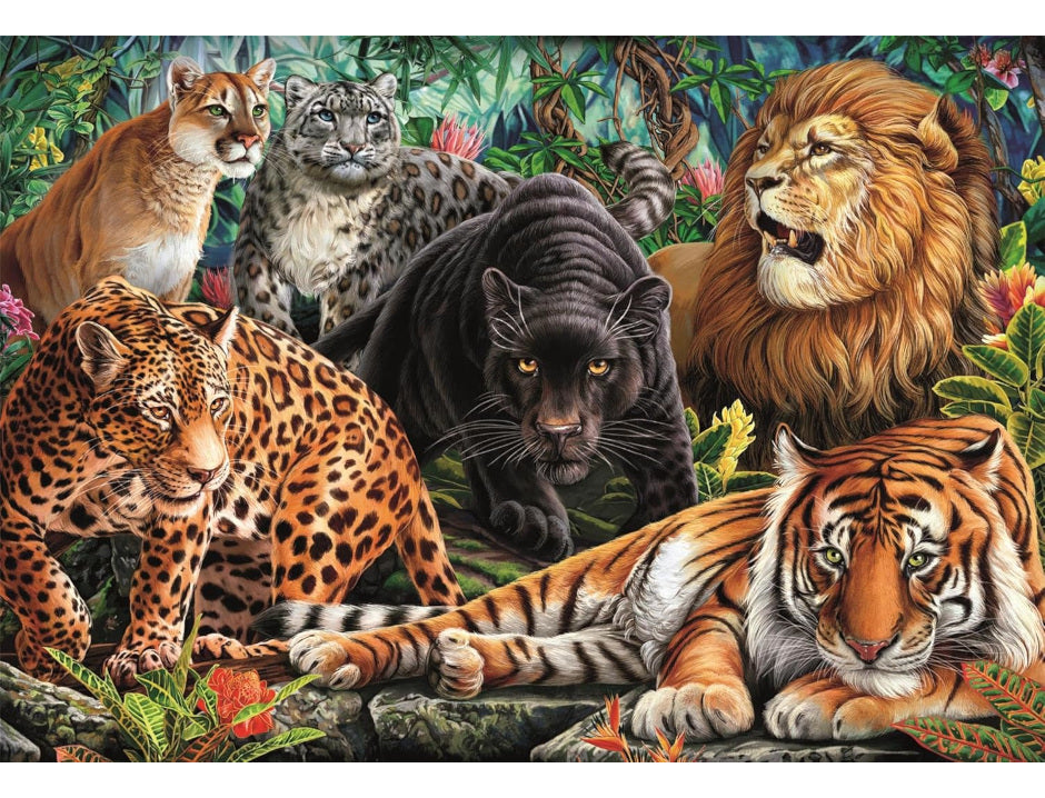 Rompecabezas Clementoni Felinos Gatos Salvajes Compact 500 P