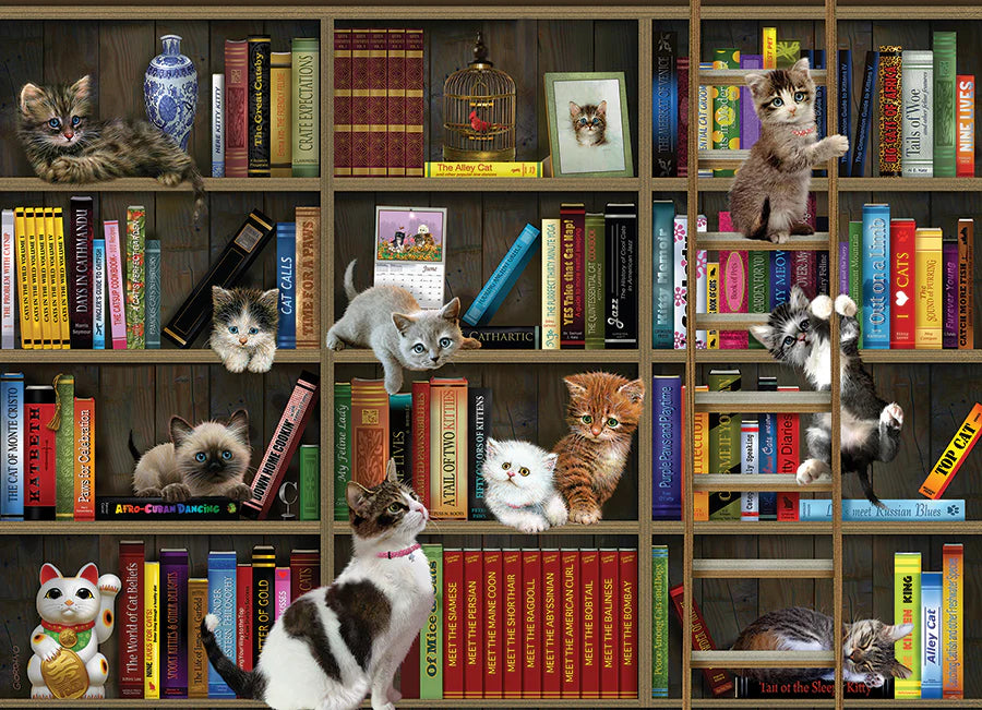 Rompecabezas 1000 Piezas Cobble Hill Tiernos Gatitos En El Librero