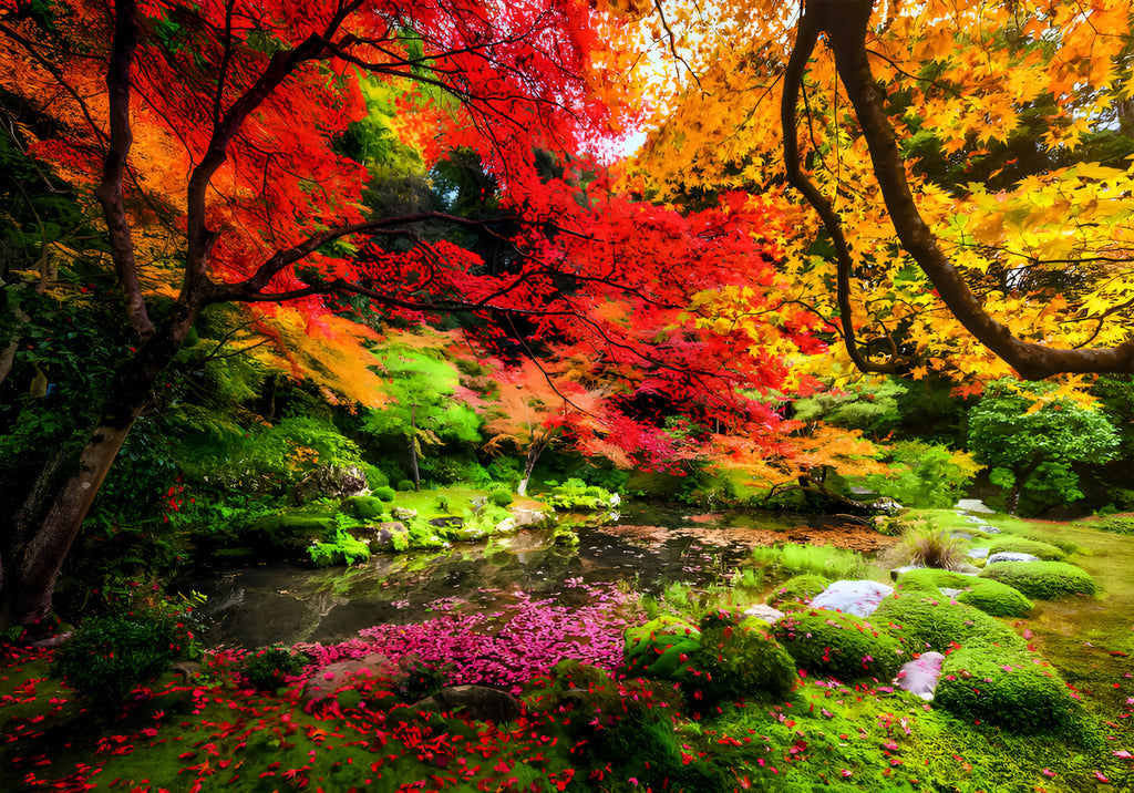 Rompecabezas Parque En Otoño Bosque Lago 1500 Pz Clementoni