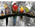 Puzzle Rompecabeza 500 Pzs Pájaros En La Jungla Educa 17984