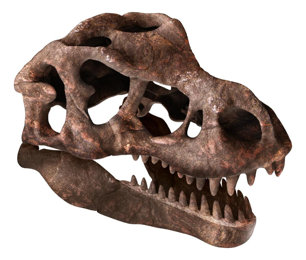 Clementoni T-rex Skull, Kit Creativo Y Científico