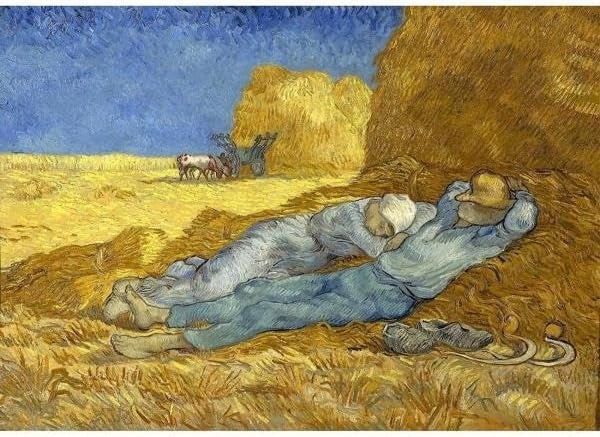 Enjoy Rompe De Arte 1000 Piezas La Siesta De Van Gogh
