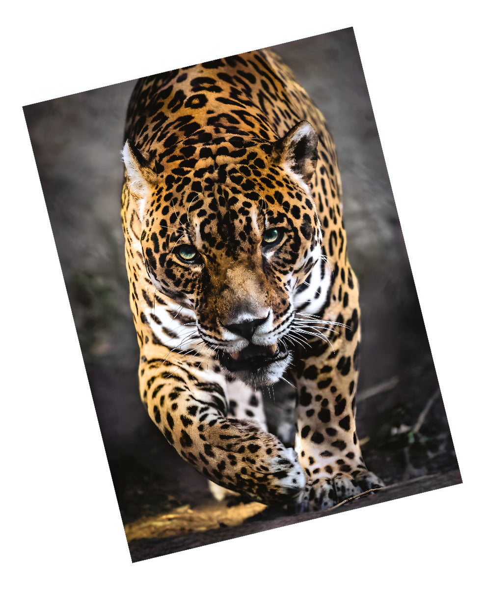 La Sombra Del Jaguar Mexico Rompecabezas 1000 Pz Clementoni