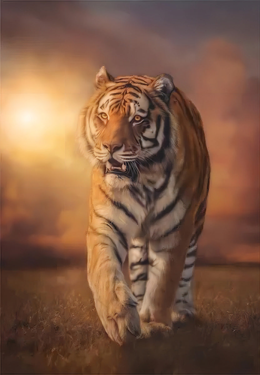 Rompecabezas Atardecer Tigre 1000pz Clementoni Italia Poster