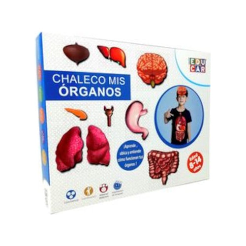 Mis Órganos Juego Educativo Eduplas Edu-117