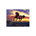 Kit Pintura Arte Diamantes Caballo Atardecer Dm-65 Educar